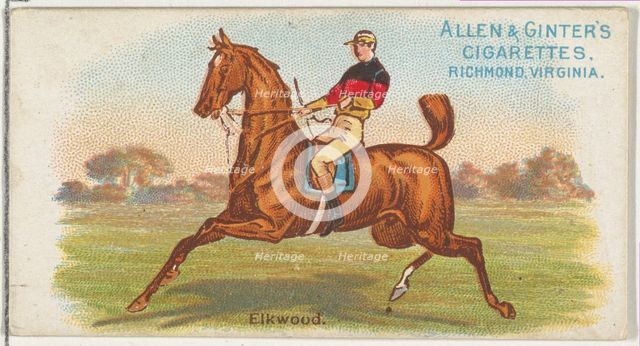 Elkwood, from The World's Racers series (N32) for Allen & Ginter Cigarettes, 1888. Creator: Allen & Ginter.