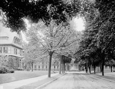 Elm Street, Holyokke [sic], Mass., c1908. Creator: Unknown