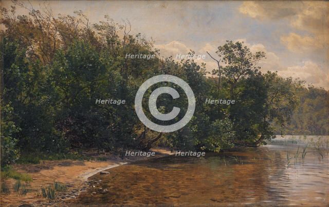 Elm trees at Almind Lake, 1873. Creator: Janus Andreas Bartholin la Cour.