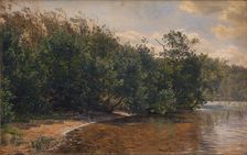 Elm trees at Almind Lake, 1873. Creator: Janus Andreas Bartholin la Cour
