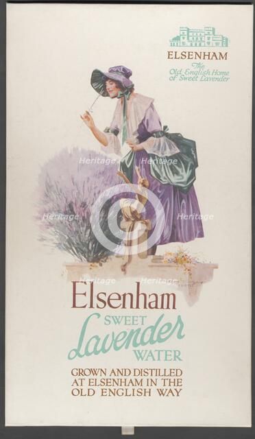 Elsenham Lavender, 1920s. Artist: Wilfred Fryer