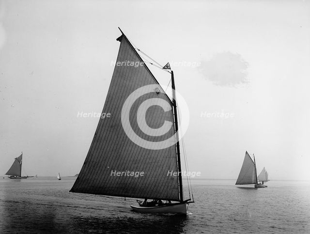 Elsie, 1898 July 30. Creator: John S Johnston.