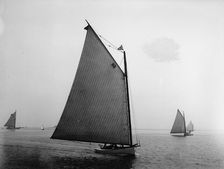 Elsie, 1898 July 30. Creator: John S Johnston