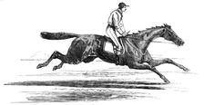 Epsom Races - "Ellington", Winner of the Derby, 1856. Creator: Unknown