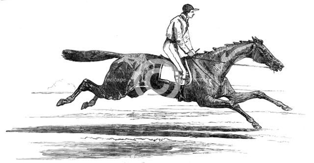 Epsom Races - "Ellington", Winner of the Derby, 1856.  Creator: Unknown.