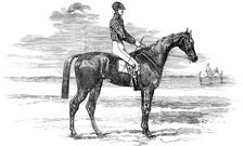 Epsom Races - "Mincepie", Winner of the Oaks, 1856. Creator: Unknown