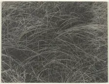 Equivalent, 1927. Creator: Alfred Stieglitz