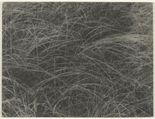 Equivalent, 1927. Creator: Alfred Stieglitz