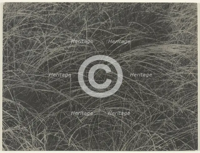 Equivalent, 1927. Creator: Alfred Stieglitz.