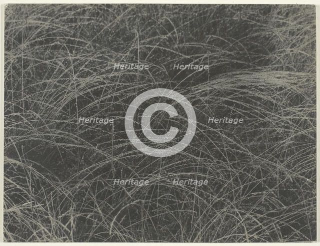 Equivalent, 1927. Creator: Alfred Stieglitz.