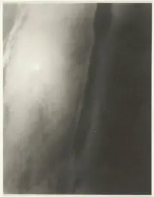 Equivalent, 1931. Creator: Alfred Stieglitz