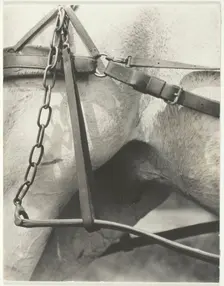 Equivalent, Spiritual America, 1923. Creator: Alfred Stieglitz