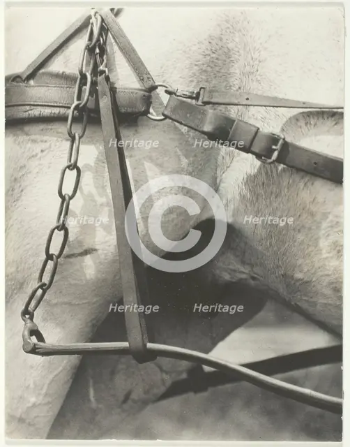 Equivalent, Spiritual America, 1923. Creator: Alfred Stieglitz.