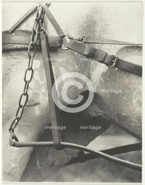 Equivalent, Spiritual America, 1923. Creator: Alfred Stieglitz.