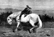 "Equo Ne Credite Teucri!" by Briton Riviere, in the exhibition at the Dudley Gallery, 1873. Creator: Unknown