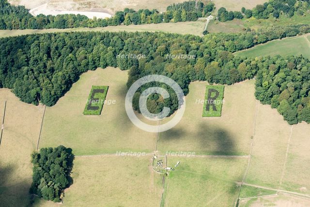 ER plantations, trees planted to mark the Golden Jubilee of Queen Elisabeth, Derbyshire, 2018. Creator: Emma Trevarthen.