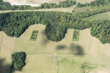 ER plantations, trees planted to mark the Golden Jubilee of Queen Elisabeth, Derbyshire, 2018. Creator: Emma Trevarthen