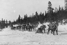Erick Johnson with U.S. mail team, between c1900 and 1927. Creator: Unknown