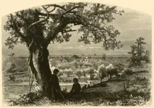 Erie, from Federal Hill 1872. Creator: John Douglas Woodward