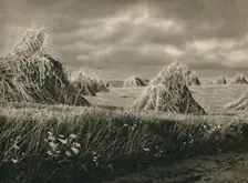 Ernte in Mausren - Harvest in Masouria 1931. Artist: Kurt Hielscher