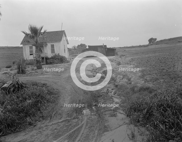 Eroded field, San Luis Obispo County, California, 1936. Creator: Dorothea Lange.