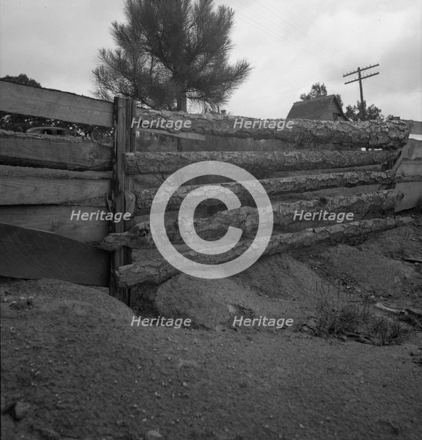Eroding field and fence, Greene County, Georgia, 1937. Creator: Dorothea Lange.