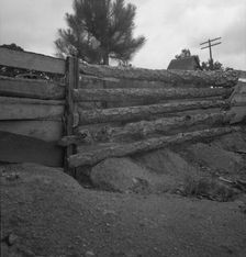 Eroding field and fence, Greene County, Georgia, 1937. Creator: Dorothea Lange