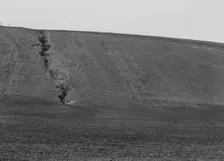 Erosion from the pea fields, near Santa Maria, California, 1939. Creator: Dorothea Lange