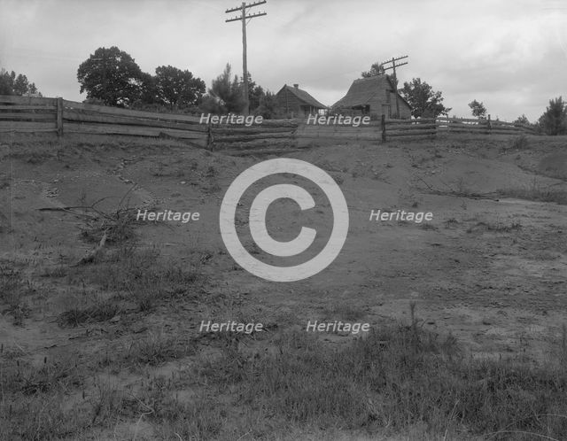 Erosion, Greene County, Georgia, 1937. Creator: Dorothea Lange.