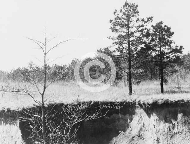 Erosion near Oxford, Mississippi, 1936. Creator: Walker Evans.