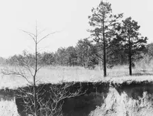 Erosion near Oxford, Mississippi, 1936. Creator: Walker Evans