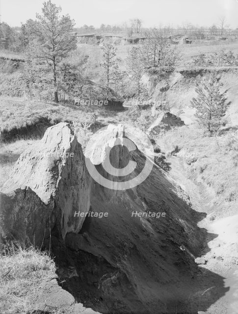 Erosion near Oxford, Mississippi, 1936. Creator: Walker Evans.