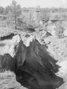 Erosion near Oxford, Mississippi, 1936. Creator: Walker Evans