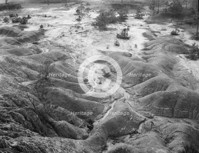Erosion near Jackson, Mississippi, 1936. Creator: Walker Evans.
