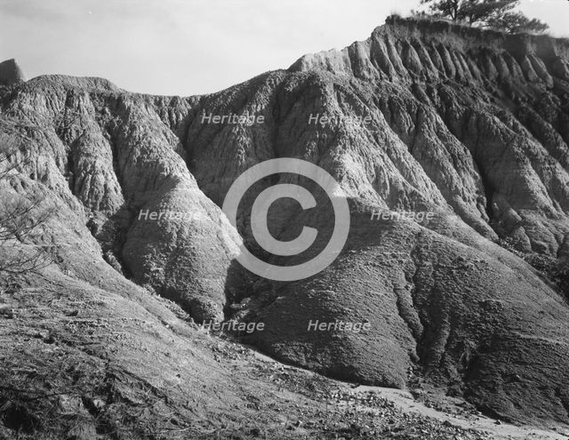 Erosion near Jackson, Mississippi, 1936. Creator: Walker Evans.