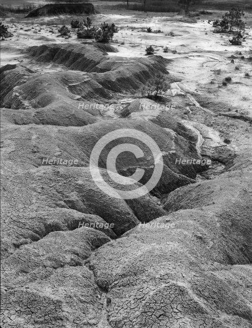 Erosion near Jackson, Mississippi, 1936. Creator: Walker Evans.