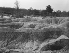 Erosion near Jackson, Mississippi, 1936. Creator: Walker Evans
