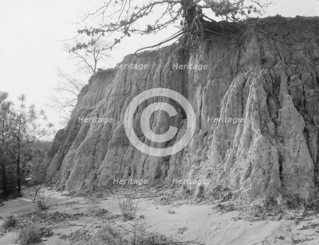 Erosion near Jackson, Mississippi, 1936. Creator: Walker Evans.