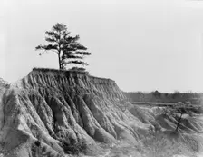 Erosion near Jackson, Mississippi, 1936. Creator: Walker Evans