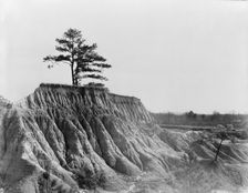 Erosion near Jackson, Mississippi, 1936. Creator: Walker Evans
