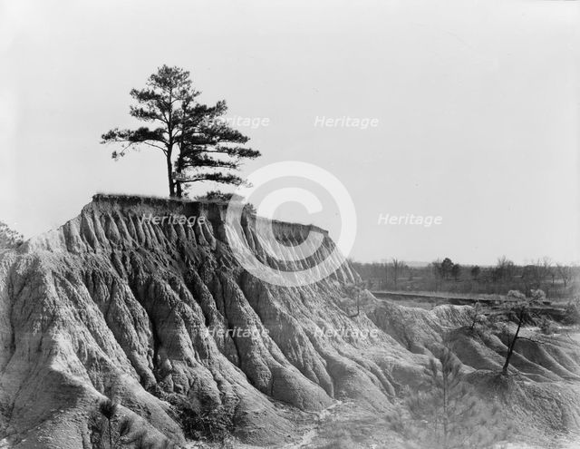 Erosion near Jackson, Mississippi, 1936. Creator: Walker Evans.