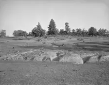 Erosion near Lawrenceville, Georgia, 1937. Creator: Dorothea Lange