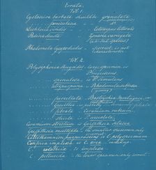 Errata, ca. 1853. Creator: Anna Atkins