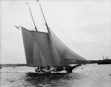 Estelle, between 1890 and 1900. Creator: John S Johnston