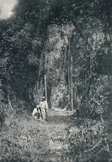 Estrada de Rodagem do Alto Parana 1895. Artist: Francisco Henszler