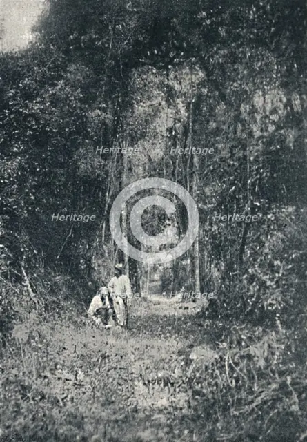 'Estrada de Rodagem do Alto Parana', 1895. Artist: Francisco Henszler.