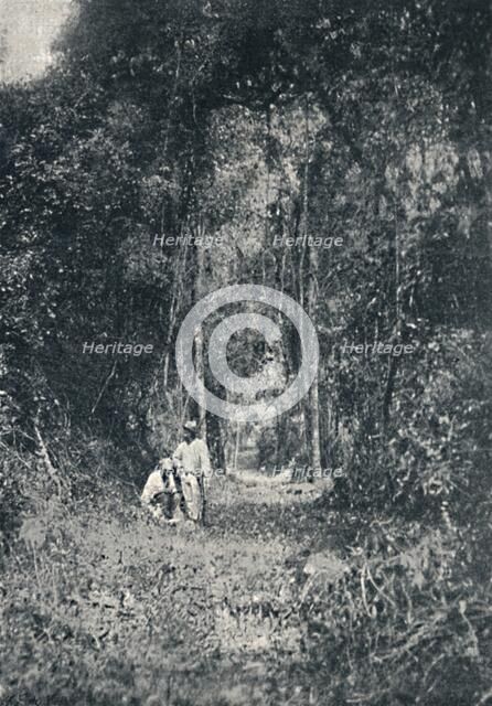 'Estrada de Rodagem do Alto Parana', 1895. Artist: Francisco Henszler.