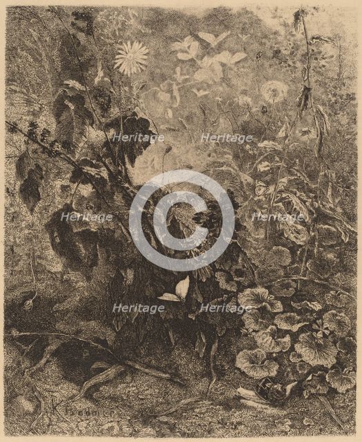 Escargots et papillons. Creator: Karl Bodmer.