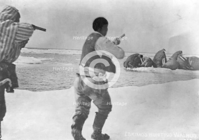 Eskimos hunting walrus, between c1900 and 1927. Creator: Unknown.