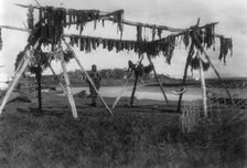 Eskimos in Alaska: Drying whale meat, Hooper Bay, c1929. Creator: Edward Sheriff Curtis